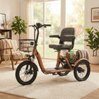 3-Wheel Mobility Scooters