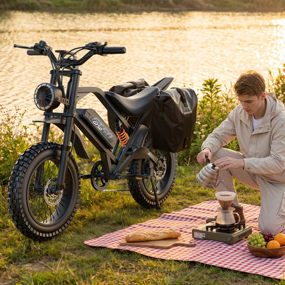 Electric Bike for Adults Teens, 749W Peak Off-Road Ebike, 27.9MPH And 65Miles, 20 X 3In Portable Electric Bike, Dual Suspension And Dual Brake, Commuting Ebike with Long-Seat, 365LBS