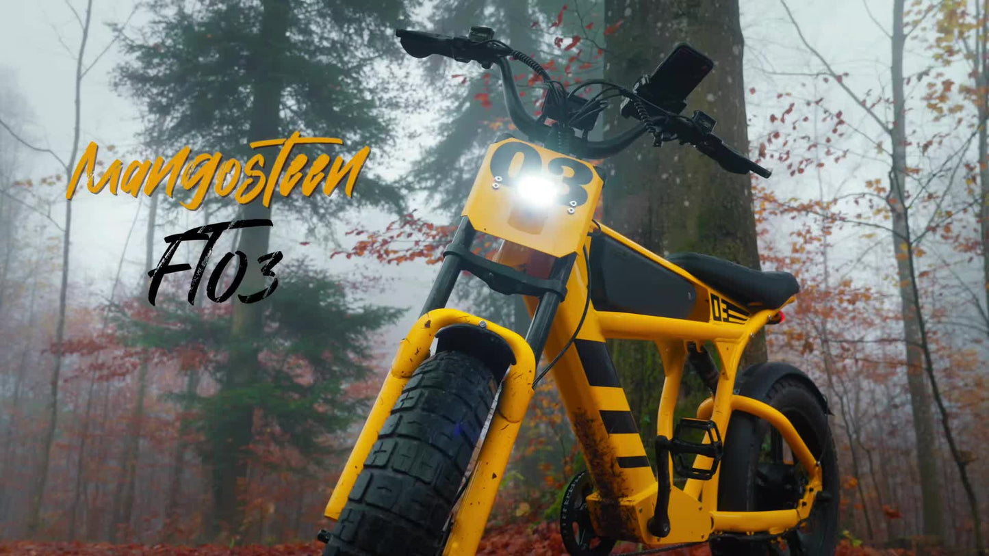 Hardcore Off-road Electric Bike, Featuring a Full Suspension System and Hydraulic Brakes to Conquer Rugged Mountain Trails. Equipped with 20"x4.0" Wide Tires and a 48V 18Ah Battery for 40-60 Miles of Range, This 7-speed All-terrain Beast